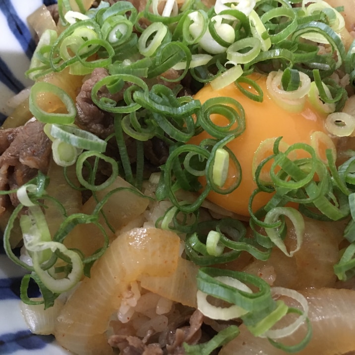 ピリ辛 ネギ玉牛丼。